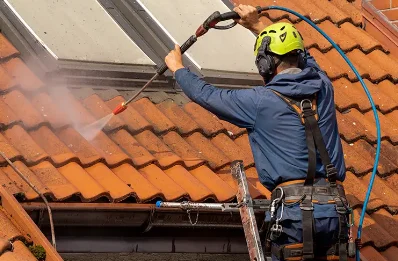 Démoussage et hydrofuge de toiture à Palogneux